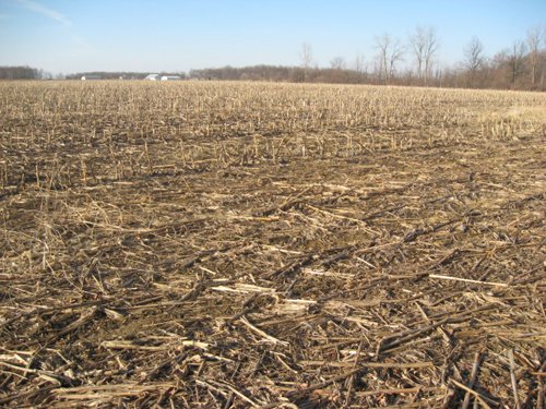Property photo 9 - 44 Acres Offered in 3 Tracts